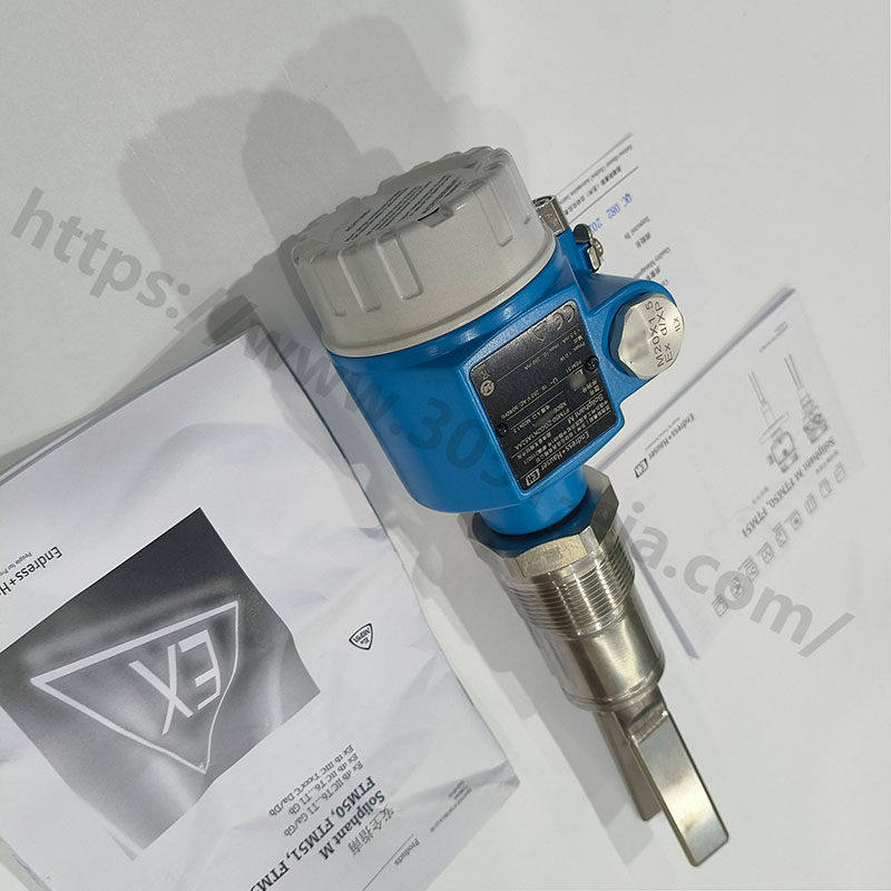 E+H FTM50 系列音叉物位开关：可靠的物位监测核心