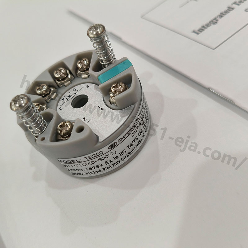 重庆川仪 TS200 系列温度模块：工业测温的智能集成中枢